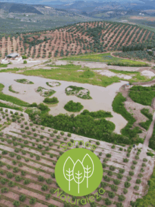 Portada Día Mundial de los Humedales