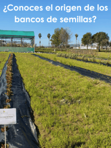 Portada blog Banco de semillas