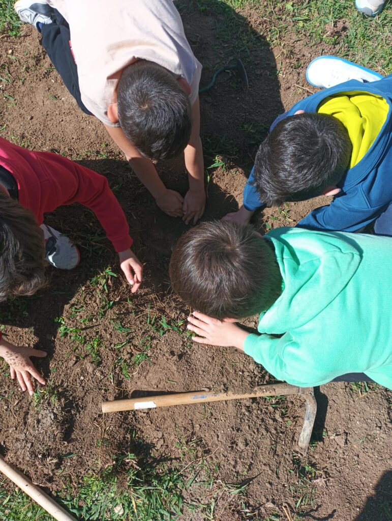 3 plantacion 3