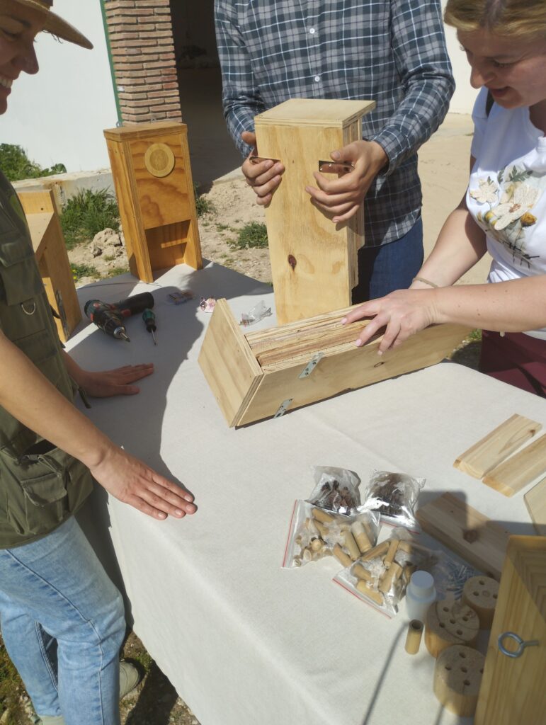 IMG 20260319 110313 (1)