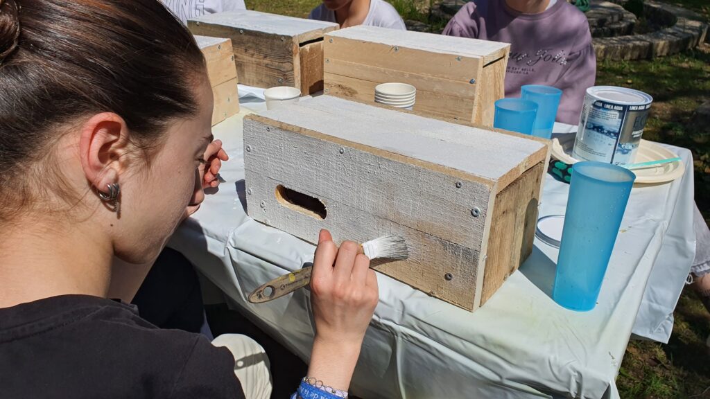 20260325 123223 (1) (1)