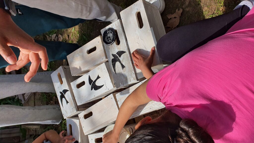 20260325 130812 (1) (2)