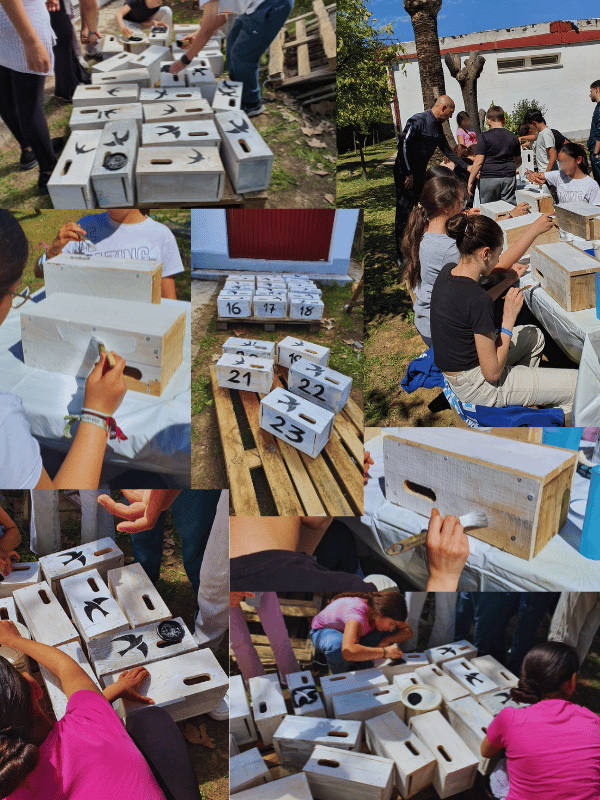 Aves que cuidan de nosotros