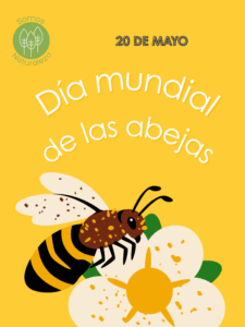 Día Mundial de las Abejas