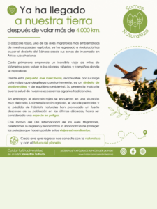 Portada blog (55)