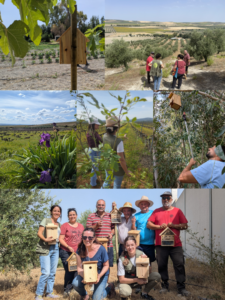 Curso biodiversidad mancomunidad