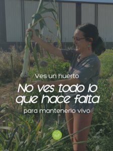 Portada blog (63)