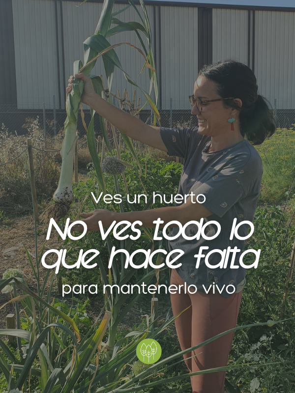 Portada blog (63)