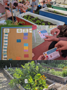 Tablero huerto escolar cultivando conciencia