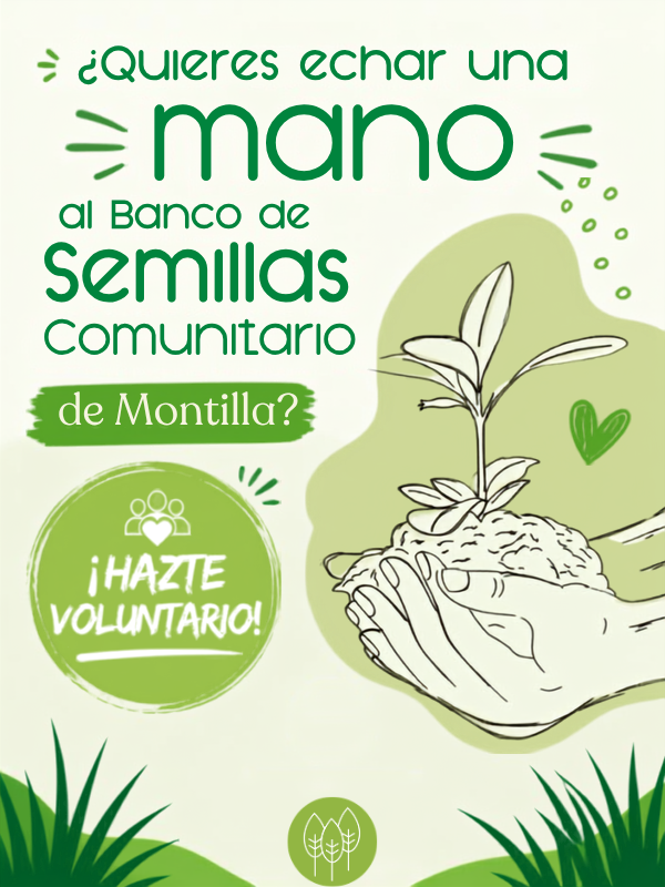 Voluntariado bando de semillas